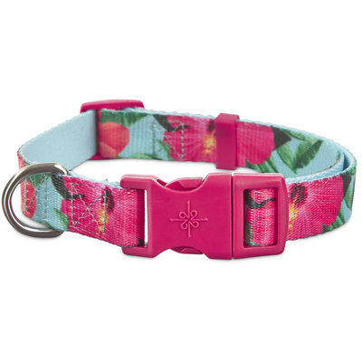 Good2Go Hibiscus Dog Collar, Large