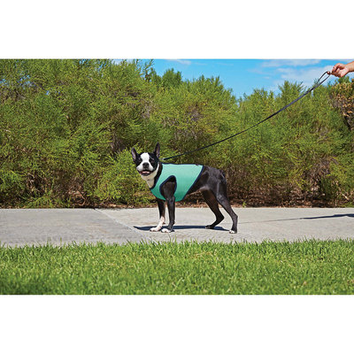 Good2Go Cooling Dog Vest, Medium