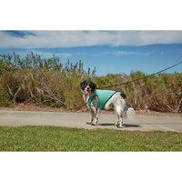 Good2Go Cooling Dog Vest, Large