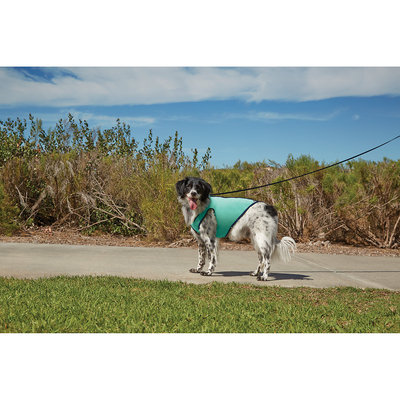 Good2Go Cooling Dog Vest, Large