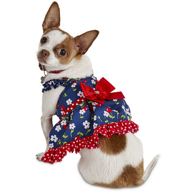 Bond & Co. Fresh-Picked Cherry Dog Dress, X-Small