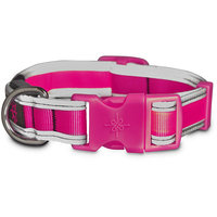 Good2Go LED Light-Up Collar for Dogs in Pink, Medium