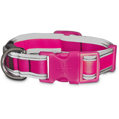 Good2Go LED Light-Up Collar for Dogs in Pink, Medium