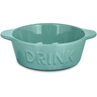 Harmony Mint DRINK Ceramic Cat Bowl, 3 Cups