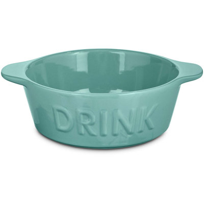 Harmony Mint DRINK Ceramic Cat Bowl, 3 Cups