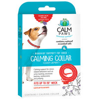 Calm Paws Calming Dog Collar, 21st Century