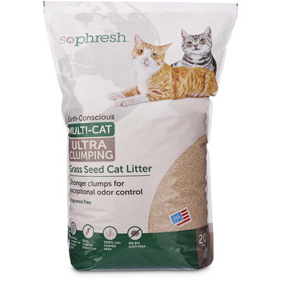 So Phresh Extreme Clumping Unscented Grass Seed Cat Litter, 20 lbs.