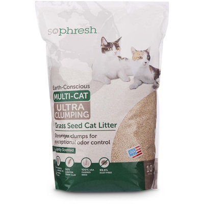 So Phresh Extreme Clumping Unscented Grass Seed Cat Litter, 10 lbs.