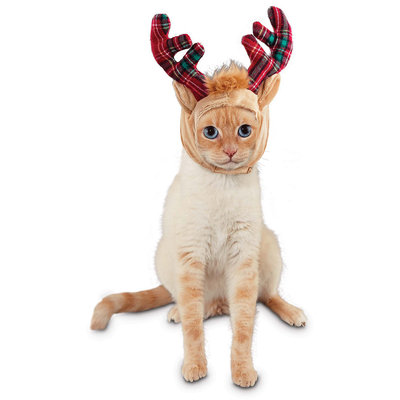 Time for Joy Purrfect Santa Helper Cat Headpiece