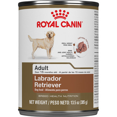 Royal Canin Breed Health Nutrition Labrador Retriever Loaf In Sauce Dog Food, 13.5 oz, Case of 12
