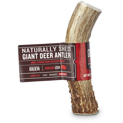Good Lovin' Naturally Shed Giant Deer Antler Dog Chew, 4-inch