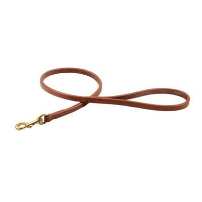 Alvalley Flat Snap Lead for Dogs 3/8 in x 2ft