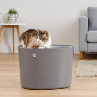 Iris Usa Inc IRIS Top Entry Cat Litter Box, Dark Gray/Light Gray