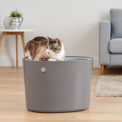Iris Usa Inc IRIS Top Entry Cat Litter Box, Dark Gray/Light Gray