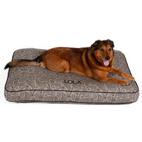 Drs. Foster And Smith Doctors Foster + Smith Personalized Ultimate Classic Taupe Paisley Dog Bed, 42