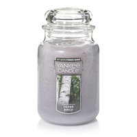 Newell Brands Yankee Candle Large Jar Candle, Silver Birch