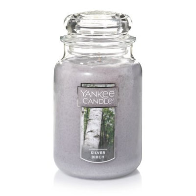 Newell Brands Yankee Candle Large Jar Candle, Silver Birch