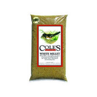 Cole's Wild Bird Products White Millet 20 Lbs.