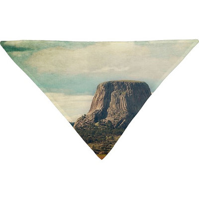 DENY Designs Catherine Mcdonald Pet Bandana Sky Blue - Devils Tower - DENY Designs Pet Bags