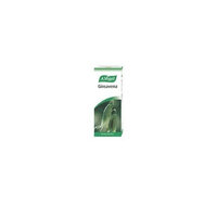 The Healthy Option Ginsavena Tincture 50Ml