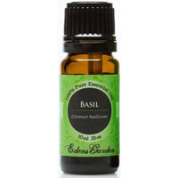 Edens Garden Basil 10 ml 100% Pure Undiluted Therapeutic Grade Essential Oil GC/MS Tested