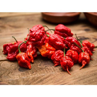 Monsoon Spice Company Carolina Reapers Dry Whole Pepper Pods Hottest Peppers in the World | Free Domestic Shipping (Reaper Gems (Hottest Candy in the World), 1 Pouch Challenge (Mix Flavors))