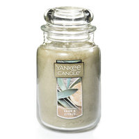 Yankee Candle Sage & Citrus 22-oz. Candle Jar, Med Green
