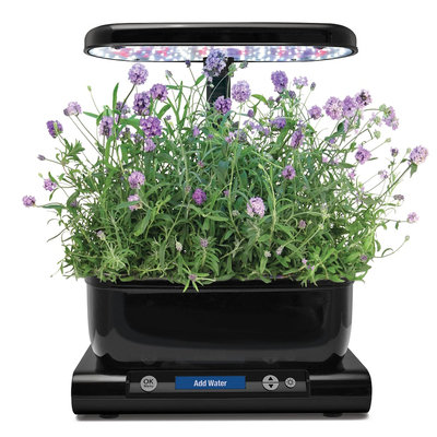 AeroGarden Grow Anything Seed Pods