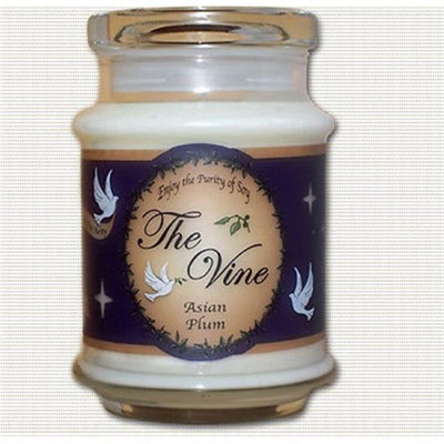 The Vine Candles 15300X 12 oz Asian Plum Jar Candle - isaiah 35-3-4 - 6 x 6 in.