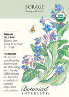 Borage Seeds - 1 gram - Organic