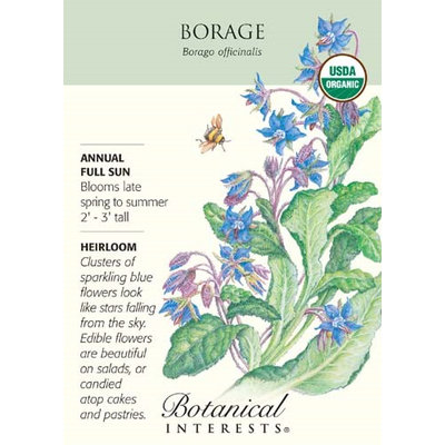 Borage Seeds - 1 gram - Organic