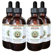 Sinicuichi (Heimia Salicifolia) Glycerite, Dried above-ground parts Alcohol-Free Liquid Extract, Shrubby Yellowcrest, Glycerite Herbal Supplement 4x4 oz