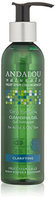Andalou Naturals Kombucha Cleansing Gel