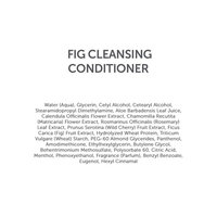 WenHairCare Fig - Cleanses, Strengthens and Nourishes Hair, No Harsh Sulfates (16 oz)