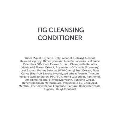 WenHairCare Fig - Cleanses, Strengthens and Nourishes Hair, No Harsh Sulfates (16 oz)