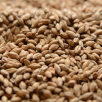 Malting Co. of Ireland Irish Stout Crushed Malt - 1 lb. Bag