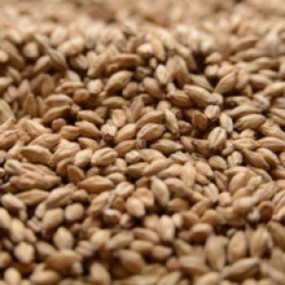 Malting Co. of Ireland Irish Stout Crushed Malt - 1 lb. Bag