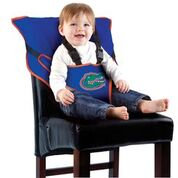 Cozy Cover Easy Seat - Florida