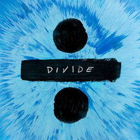 Divide (frpm) (180 Gram Vinyl) (dlcd) - Vinyl