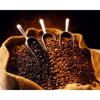 El Salvador SHG Red Bourbon Buenos Aires Unroasted Coffee Beans (Unroasted, Green Beans, 10 Pounds Whole Beans)