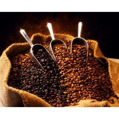 El Salvador SHG Red Bourbon Buenos Aires Unroasted Coffee Beans (Unroasted, Green Beans, 10 Pounds Whole Beans)