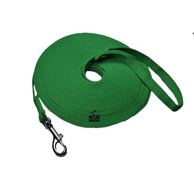 Long Dog Puppy Obedience Recall Training Agility Lead, Leash (Green, 50 Foot)