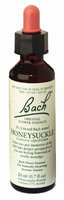 Bach 0233635 Flower Remedies Essence Honeysuckle - 0.7 fl oz