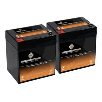 12V 4.6AH SLA Battery replaces npx-25 ps-1242 pxl12050 gp1250 wp4-12 - 2PK - S00079-2PK-00004