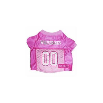 Ahi Michigan Wolverines Pink Jersey SM