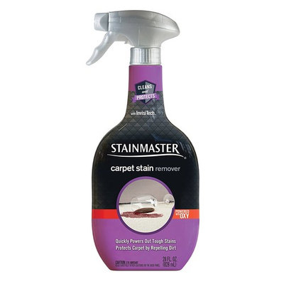 Stainmaster Carpet Care Stain Remover, 22 oz (2 pack)