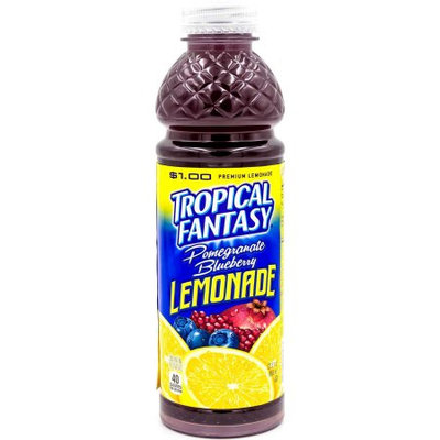 Tropical Fantasy Premium Lemonade, Pomegranate Blueberrym 22.5 Fl Oz (Case of 24)