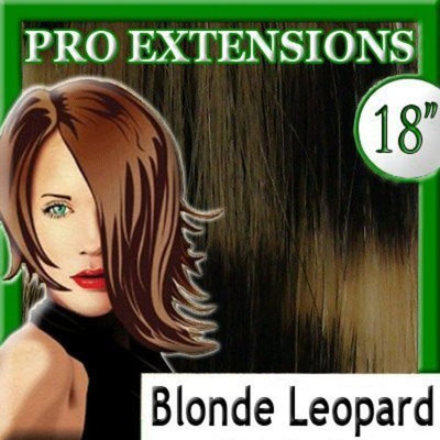 Pro Extensions 18