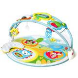Infant Skip Hop 'Amazing Arch' Activity Gym