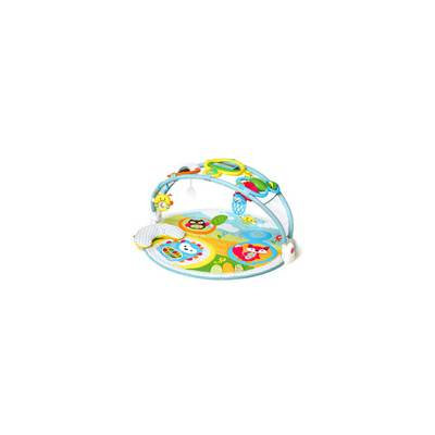 Infant Skip Hop 'Amazing Arch' Activity Gym